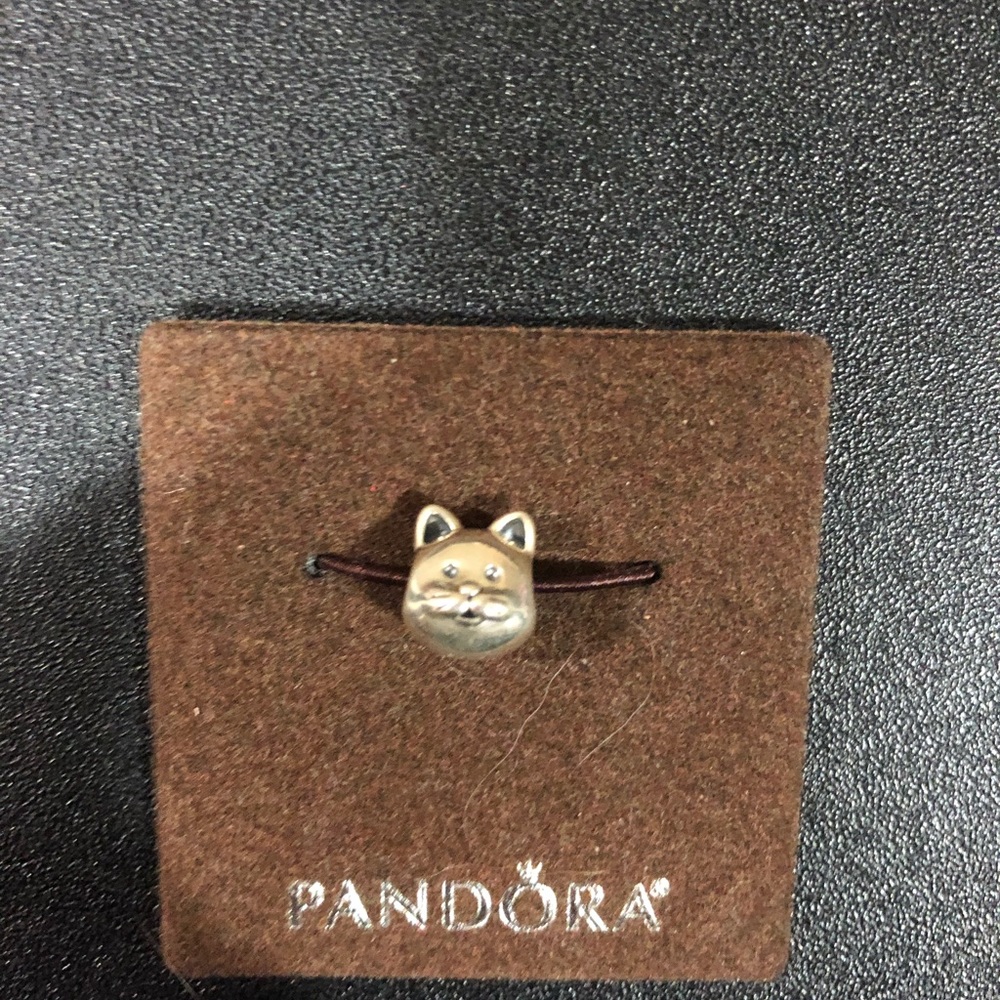cat charm